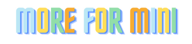 More For Mini