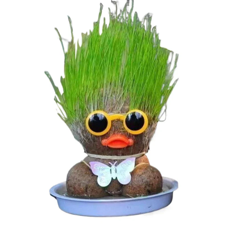 Graspop met Groeiend Gras – Figuurplant Decoratie & Cadeau