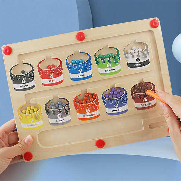 WoodlandJoy Magnetisch Sorteerbord – Educatief Doolhofspel voor Kinderen