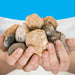 geotreasure_4
