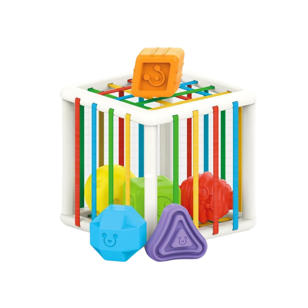 Sorting Cube Educatief Speelgoed – Stimuleer Vorm- & Kleurherkenning bij Kinderen