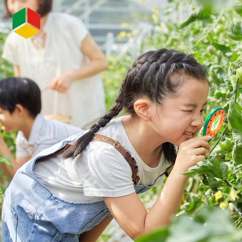 Insecten Onderzoek Set Kinderen – Terrarium & Vergrootglas (3+ Jaar)