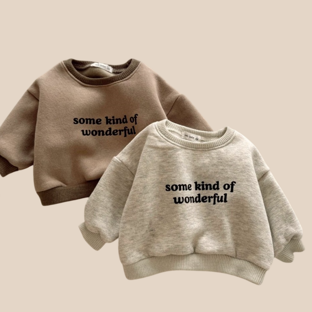 Sweater - WonderWear Unisex, Bruin/Grijs, Katoen, Maat 0-5 Jaar