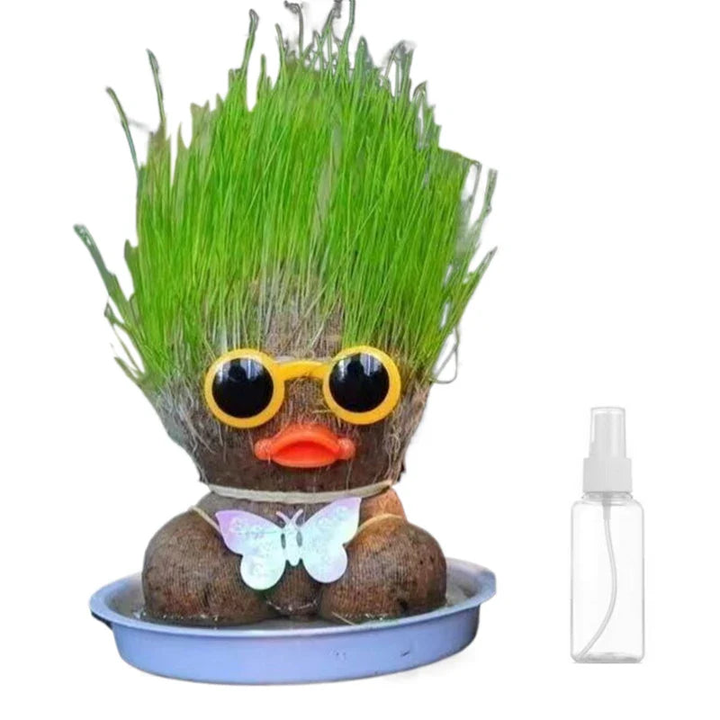 Graspop met Groeiend Gras – Figuurplant Decoratie & Cadeau