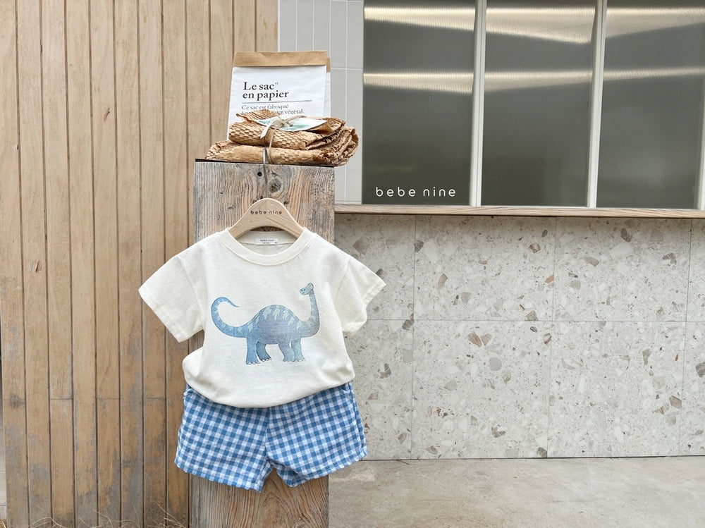 Mavino Dino Daze Set – Zomerset Peuter 1-7 Jaar – T-shirt + Ruitshort – 100% Katoen – Unisex – Dino Print