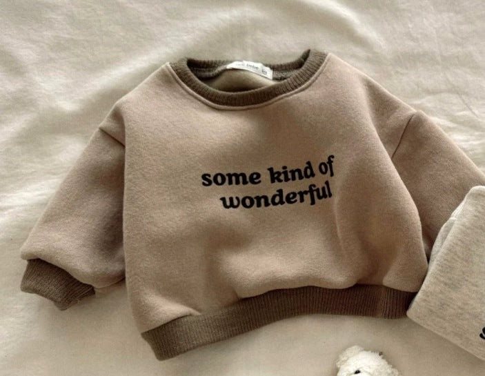 Sweater - WonderWear Unisex, Bruin/Grijs, Katoen, Maat 0-5 Jaar
