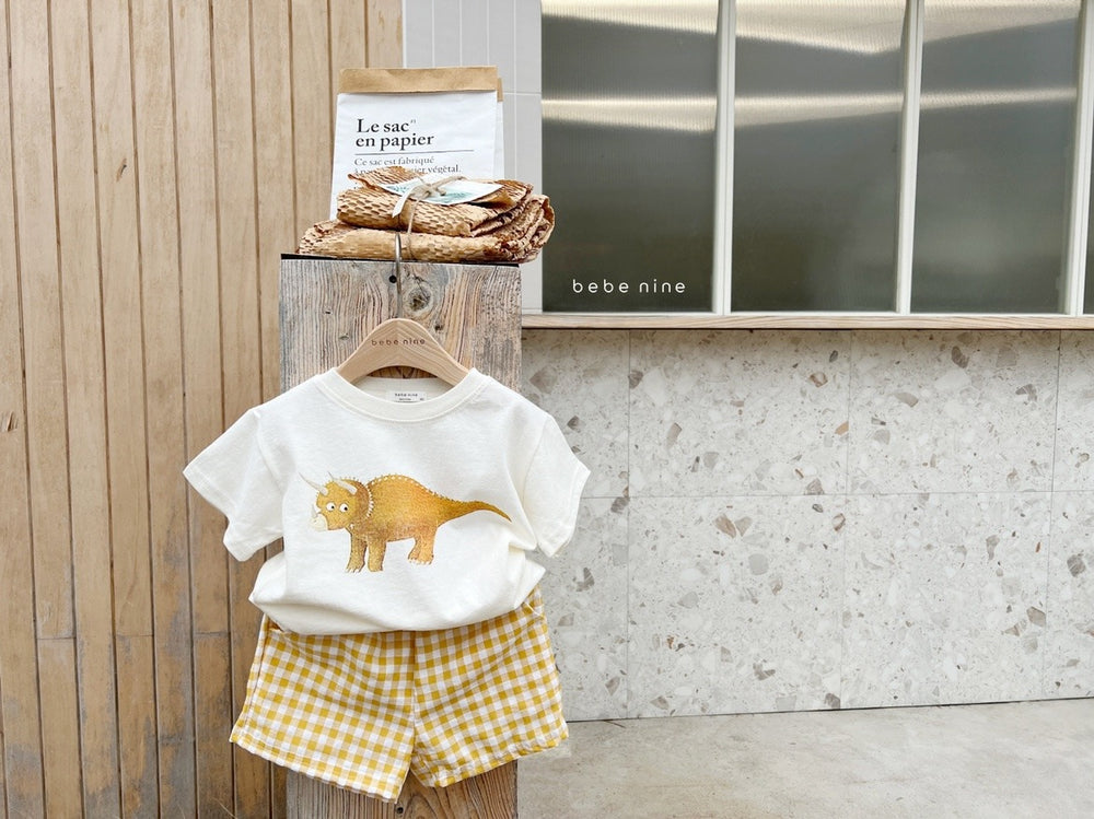 Mavino Dino Daze Set – Zomerset Peuter 1-7 Jaar – T-shirt + Ruitshort – 100% Katoen – Unisex – Dino Print