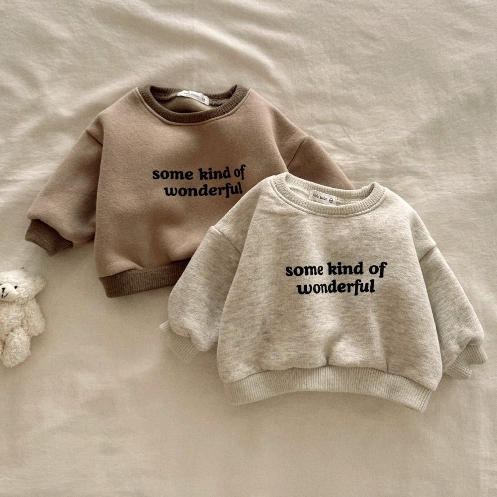 Sweater - WonderWear Unisex, Bruin/Grijs, Katoen, Maat 0-5 Jaar