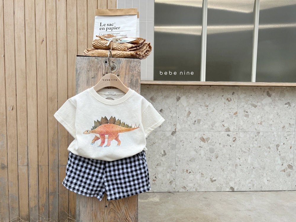 Mavino Dino Daze Set – Zomerset Peuter 1-7 Jaar – T-shirt + Ruitshort – 100% Katoen – Unisex – Dino Print