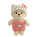 Pluche knuffelbeer 2-in-1 met afneembaar hoedje – zachte vulling, handwasbaar | teddybeer