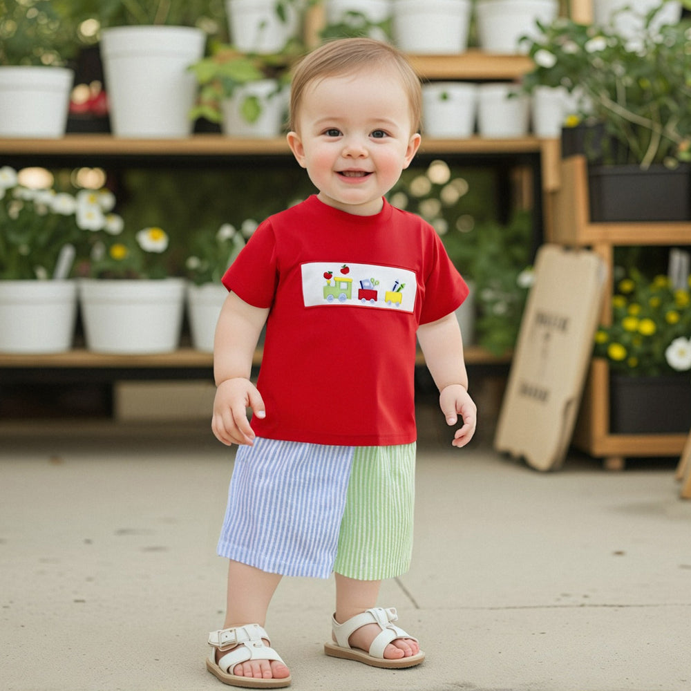Schooltrain Zomerset Jongens | Rood T-shirt met Treinprint & Gestreepte Short | Katoen & Polyester | 2–6 Jaar | Zomerspeelkleding