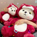 Pluche knuffelbeer 2-in-1 met afneembaar hoedje – zachte vulling, handwasbaar | teddybeer