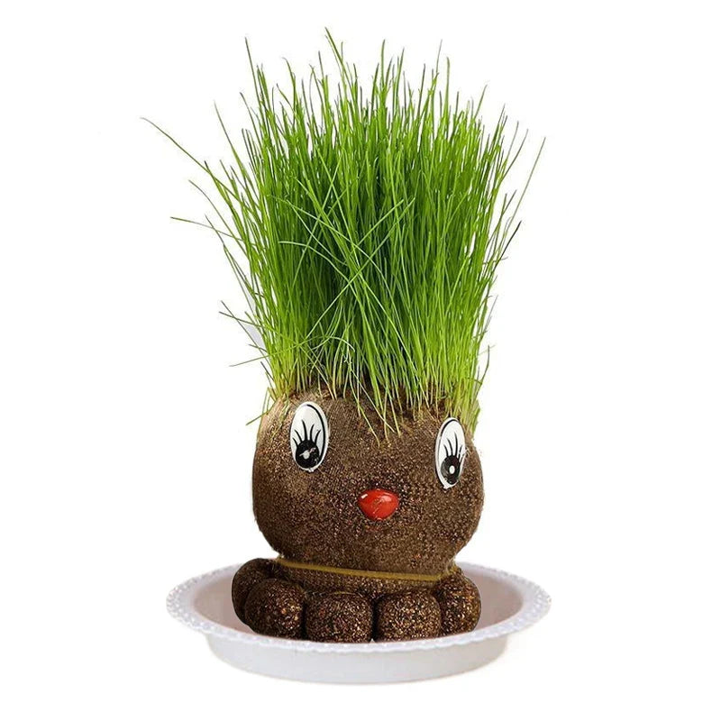 Graspop met Groeiend Gras – Figuurplant Decoratie & Cadeau