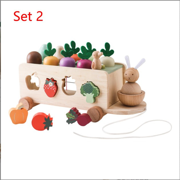 Houten Baby Speelgoed – Educatief & Veilig – Motoriek & Ontwikkeling | BrightSteps