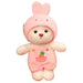 Pluche knuffelbeer 2-in-1 met afneembaar hoedje – zachte vulling, handwasbaar | teddybeer