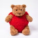 Teddybeer Knuffel met Outfit – Zacht Pluche
