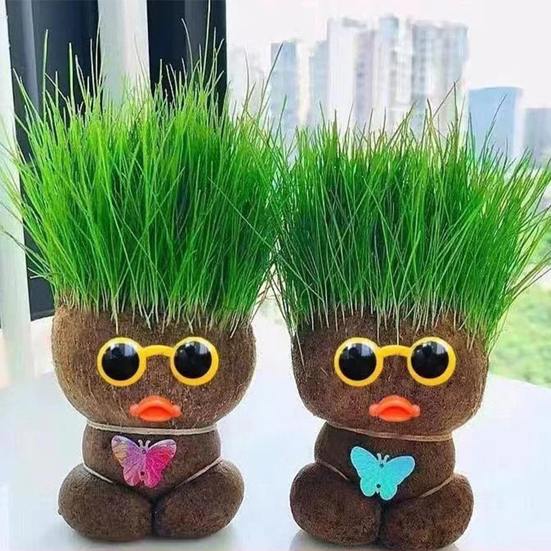 Graspop met Groeiend Gras – Figuurplant Decoratie & Cadeau