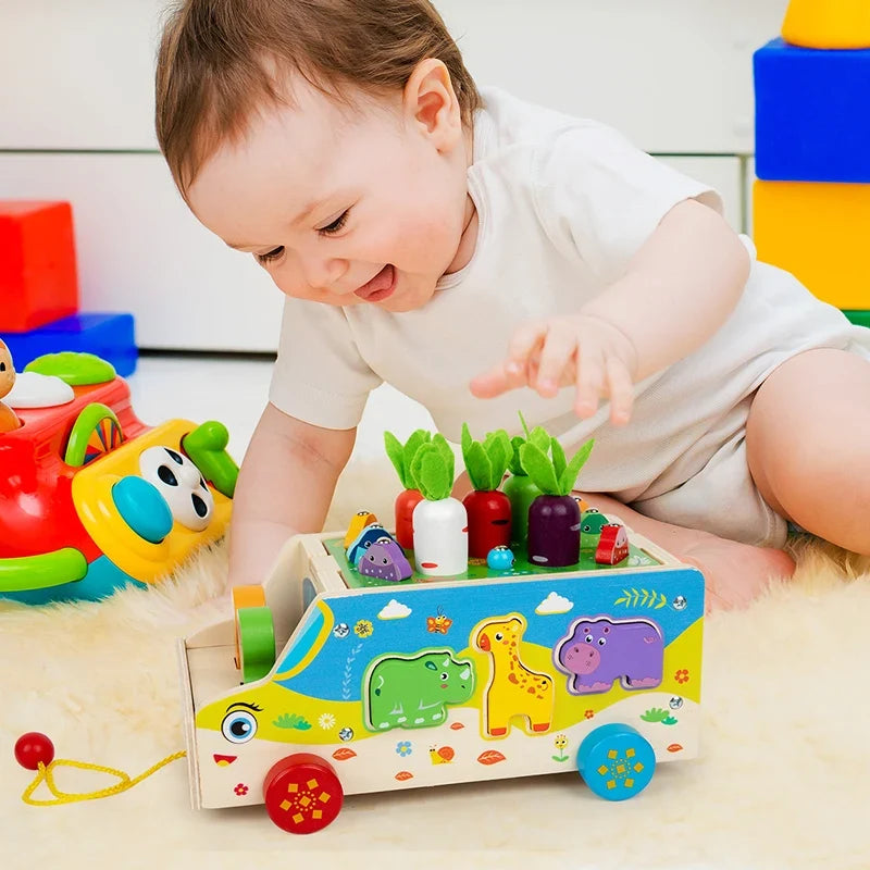 Houten trekwagen met dierenvormen, magnetisch hengelspel en sorteerblokken, montessori activiteitenspeelgoed voor peuter