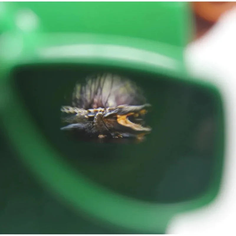 3D Viewfinder Kinder – Dia Kijker Speelgoed met Schijven (Educatief)