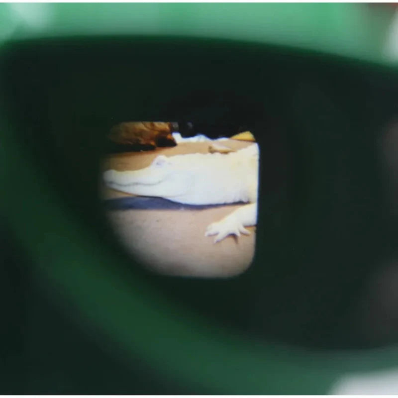 3D Viewfinder Kinder – Dia Kijker Speelgoed met Schijven (Educatief)