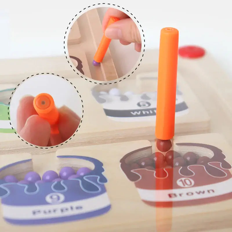 MindPath Magnetisch Leerbord – Montessori Speelgoed voor Kleuters | Leren, Kleuren & Motoriek Ontwikkelen