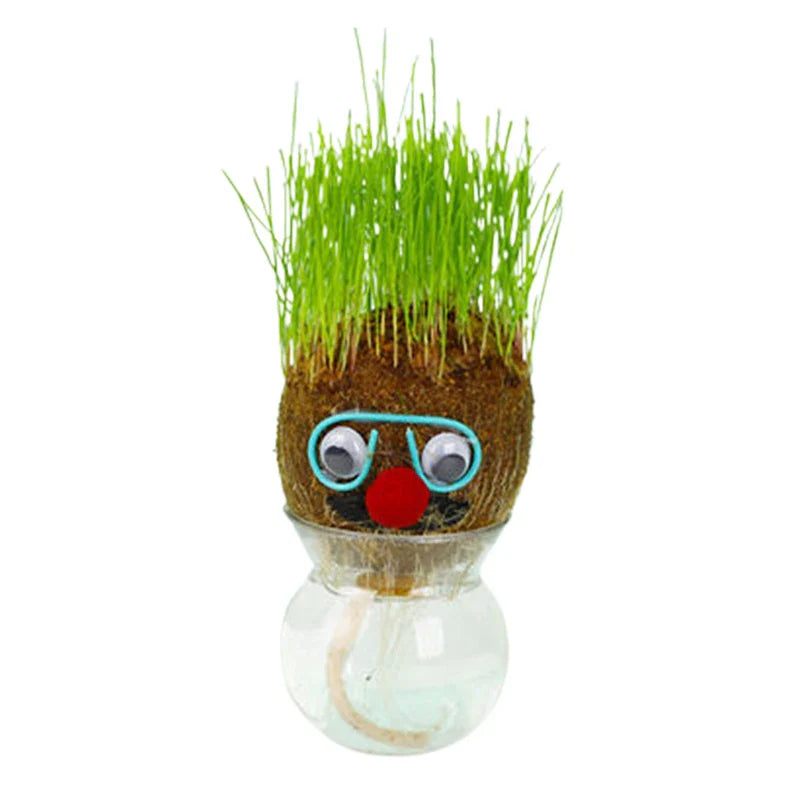 Graspop met Groeiend Gras – Figuurplant Decoratie & Cadeau